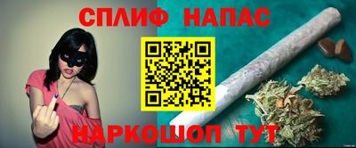 прущие грибы Ликино-Дулёво