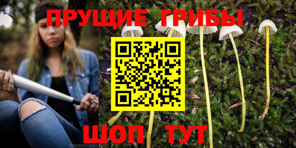 Псилоцибиновые грибы мухоморы  Вход с VPN  Ипатово 